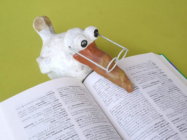 Vogel-Figur mit Lesebrille über einem Wörterbuch