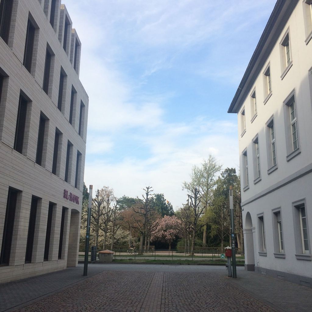 Blick zwischen zwei Häusern auf einen Park