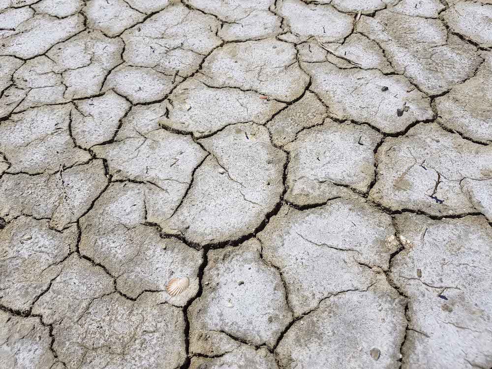 trockener Erdboden mit tiefen Rissen