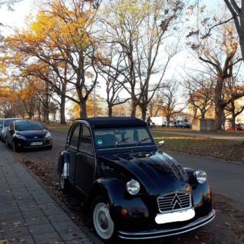 Auto-Modell Ente am Straßenrand