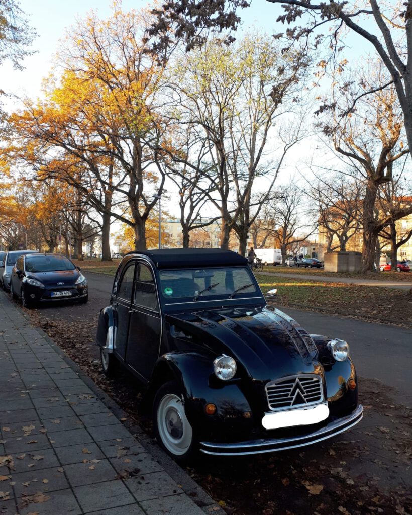 Auto-Modell Ente am Straßenrand